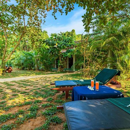Sath Villa Naadi Ayurveda Resort Moragalla ภายนอก รูปภาพ
