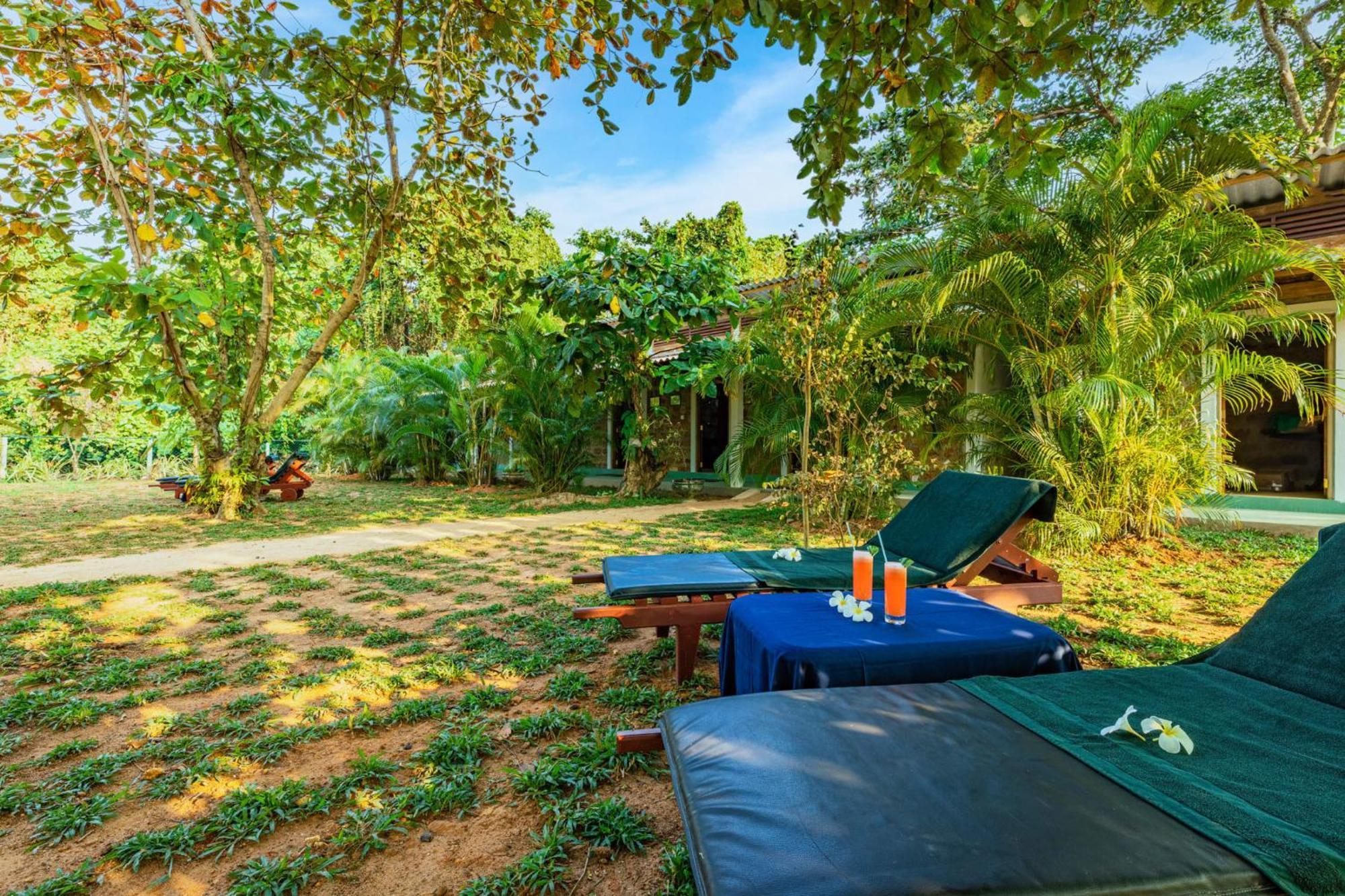 Sath Villa Naadi Ayurveda Resort Moragalla ภายนอก รูปภาพ